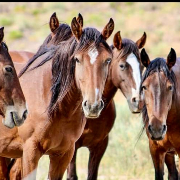 Halloween Party with @1605closet and Myself 🎃🤪🎉 Monday 6th - Picture 9 of 15